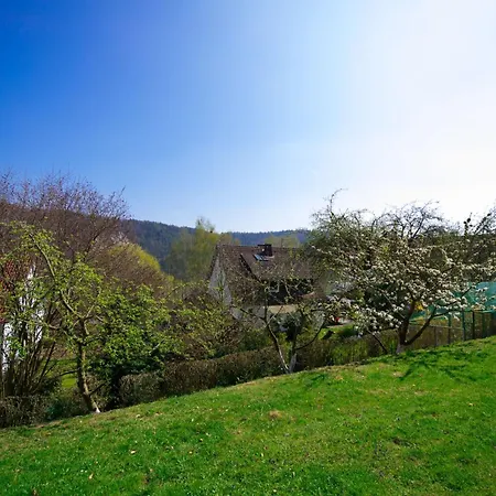 Апартаменты Dirks 2 By Interhome Hemfurth-Edersee