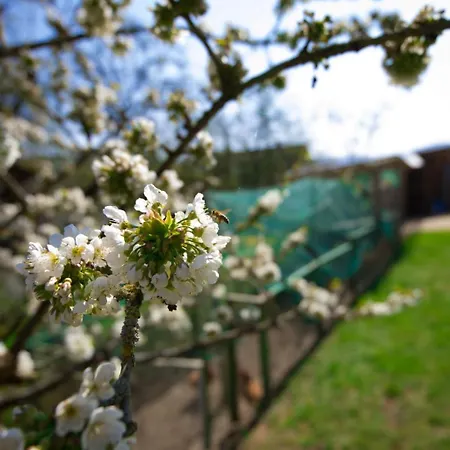 Dirks 2 By Interhome Hemfurth-Edersee