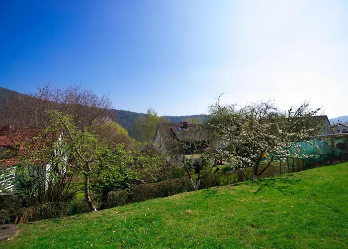 Apartamento Dirks 2 By Interhome Hemfurth-Edersee