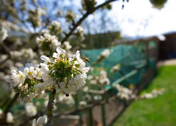 Dirks 2 By Interhome Hemfurth-Edersee